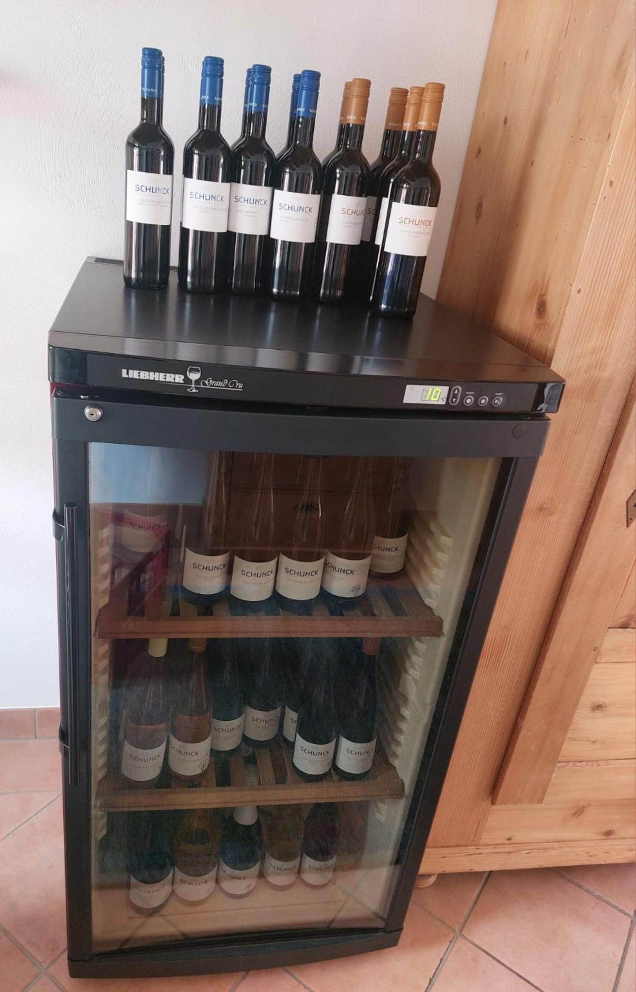 Ferienwohnung Weingut Schunck Leinsweiler Exterior foto
